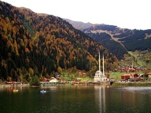 Uzungöl'de 250 kuş türü bulundu