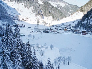 Uzungöl'de 658 bitki, 250 kuş türü yaşıyor