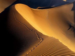 Biz mucizeleri sırf korkutmak için göndeririz