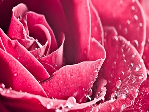 Bir erkek yabancı bir kadınla yalnız kalmasın!