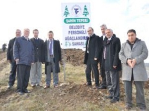 Belediye 90 Dönümlük Alanı Ağaçlandırdı