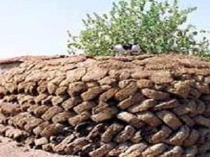 Tezek yerine biyogaz