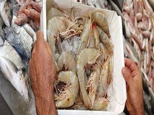 Dünya bulamıyor biz yem yapıyoruz