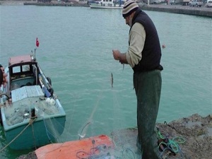 Balıkçılar lüferin peşinde