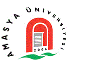 Amasya Üniversitesi, Matematik Yüksek Lisans Programı açtı