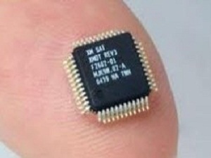 Türkiye'de bir ilk! Mikroçip takılıyor