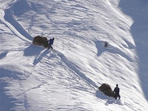 Besicilerin kış çilesi