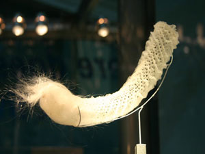 Tabiattaki tasarımlar buluşlara ilham oluyor