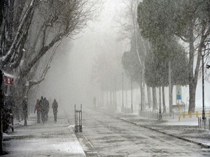 Aralık ayı donduracak