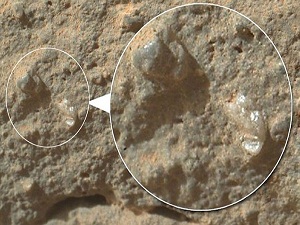 Mars çiçek mi açtı?