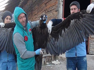 Avrupa'nın en yırtıcısı Burdur'da