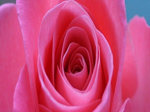 Yaptığım işin iyilik veya kötülük olduğunu nasıl anlarım?