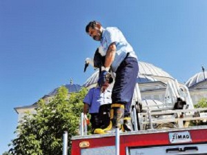 Yangınlar İhmalden Kaynaklanıyor