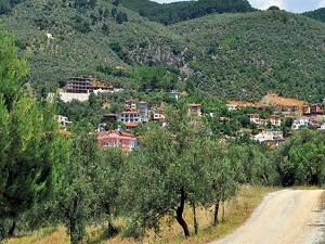 İstanbul'da 2B arazilerinde satışlar başladı