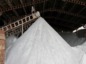 Anadolu'ya yol tuzu yetiştiremiyorlar