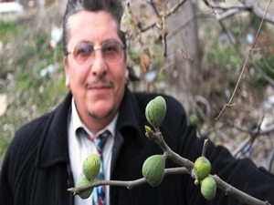 Kış ortasında incir