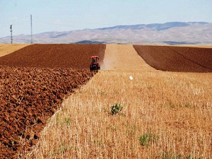 Bakan Eker'den çiftçiye 1 milyar TL'lik söz