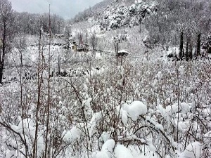 Kar, fındık üreticisinin yüzünü güldürdü