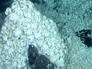 Kainatın her noktasında hayat var