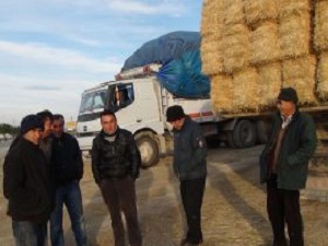 Saman İhtiyacı Çok, Alan Yok