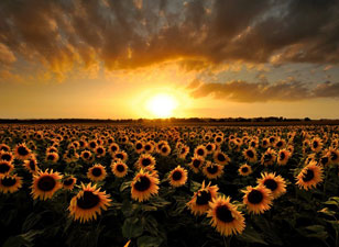 Nur çağına tebessümle mukabele etmenin vakti