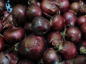 İhracat, Kuru Soğan Fiyatını Artırdı