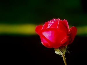 Bir kısım insan haksız mal elde etmeye girişirler