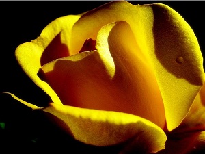 Buna kanaat edene ne mutlu