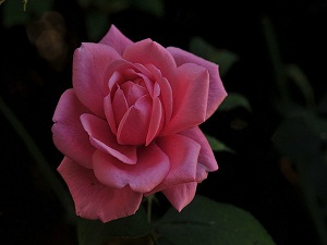 Mahlukatını yaratmazdan önce Rabbimiz nerede idi?