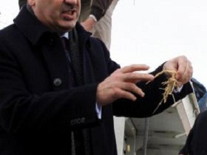 Yemin Kilosu 50 Kuruştan Satılacak