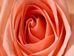 Bizimle münafıklar arasında iki namaz farkı var