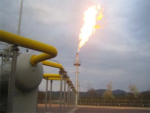 BOTAŞ’a petrol arama izni