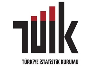 TÜİK'e altyapı desteği geliyor