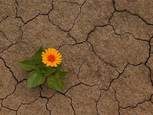 Erozyon Karşı 5 Yıllık Mücadele Dönemi Başlıyor!