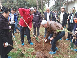 Kuruyan Ağaçların Yerine Fidan Dikildi