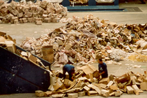 Kağıttan ağaç üretilecek