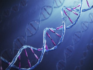 İngiliz bilim adamlarından inanılmaz deney