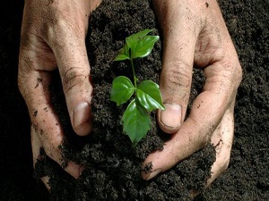 Çiftçilere sahte gübre uyarısı