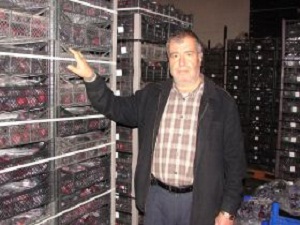 Türkiyenin Meyveleri Çivrilde Korunuyor