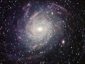 Gübre böceklerinin gözü Samanyolu galaksisinde