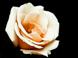 Şu iki taş neye delalet ediyor biliyor musunuz?