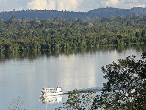 Amazon ormanlarında tahribat