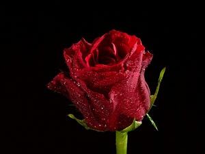 Resulullah karnı üzerine yatan bir adam görmüştü