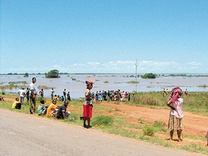 Halk ot ve böcek yiyor
