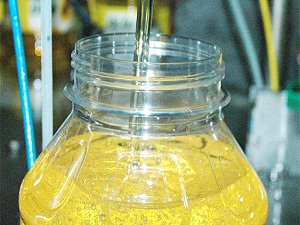 Ayçiçeği yağına kanola ve soya yağı katılıyor