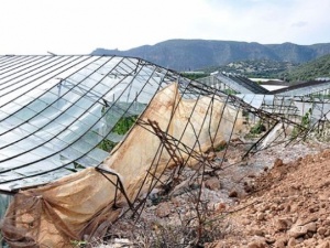 Bin 344 dekar sera alanını sel yuttu