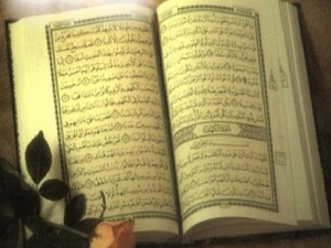 Ben ancak Resûl olarak gönderilen bir beşerim