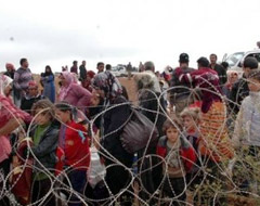 Suriyeli sığınmacı sayısı 700 bini aştı