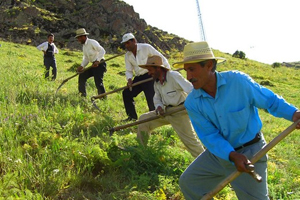 Çiftçilere Sigorta Uyarısı