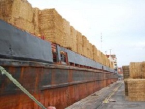 İthal Saman Da Talebi Karşılamıyor